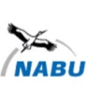 Meet your Posher, Nasr eldeen